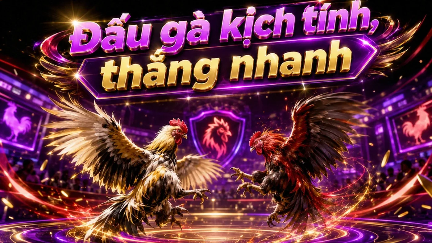 Trải nghiệm điều kiện ưu đãi JIN88 trên điện thoại: khả năng đọc và điều hướng